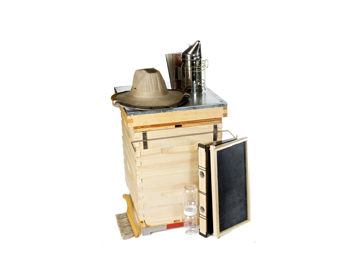 Full Beekeeping Kit (3 boxes, tools & protective gear)