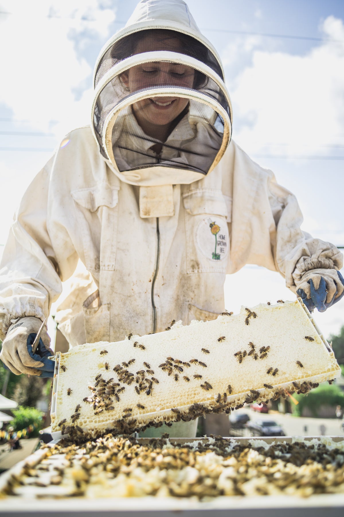 Beekeeping 101 - Online, self paced course!