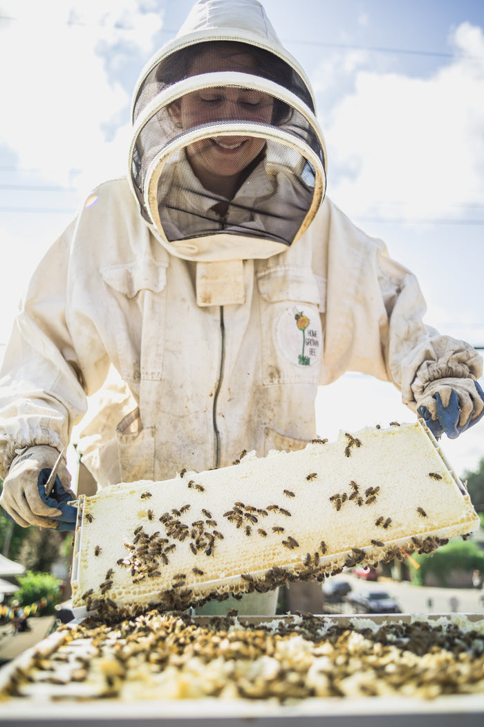 Beekeeping 101 - Online, self-paced course!