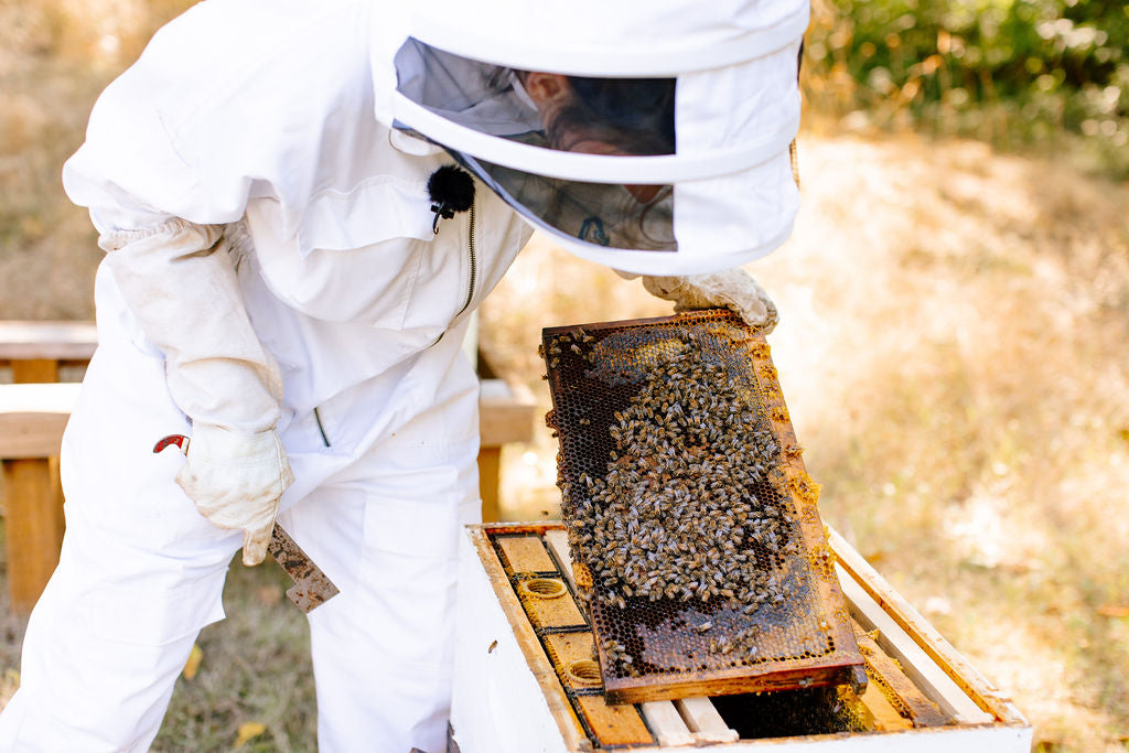 Vancouver Island Beekeeping at Home Grown Bee.