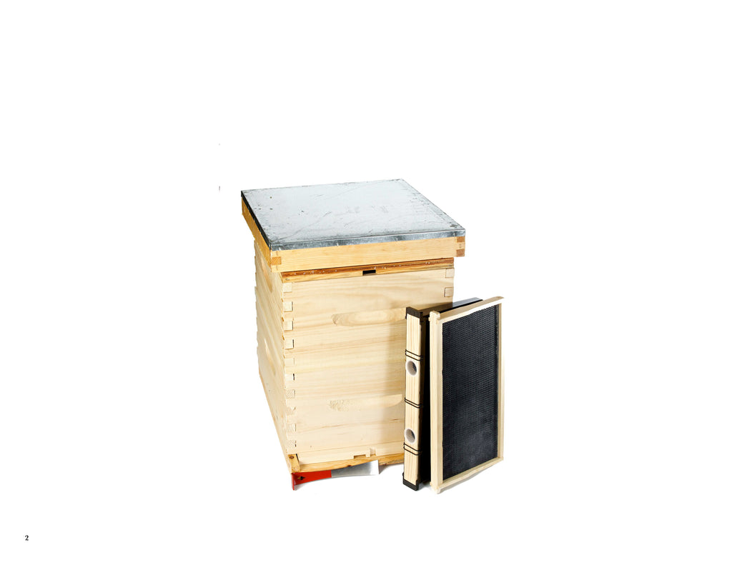 Starter Kit (2 boxes & tools) – Home Grown Bee | Vancouver Island ...