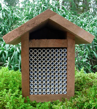 Mason Bee Bundle Deals