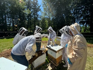 Hive Tours at Home Grown Bee