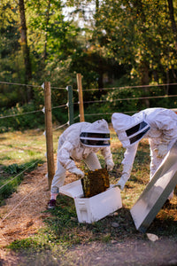Hive Tours at Home Grown Bee