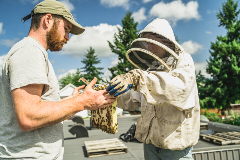 Hive Inspection 101- April 27th 1pm