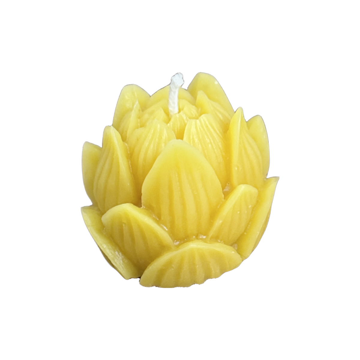 Lotus- Beeswax Candle