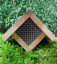 Mason Bee Bundle
