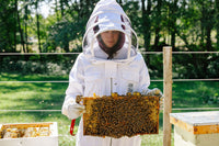Beekeeper holding beehive in Comox Valley on Vancouver Island