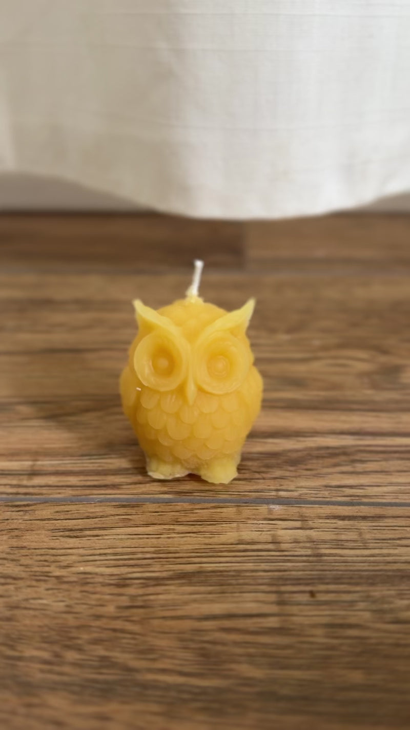 Owl - Beeswax Candle